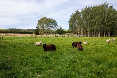 Photo of property in 657 Domett Road, Domett, Cheviot, 7382