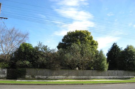 Photo of property in 131 Bartholomew Road, Levin, 5510