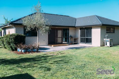 Photo of property in 41 Cumberland Drive, Flagstaff, Hamilton, 3210