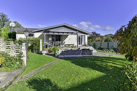 Photo of property in 31 Tanner Street, Havelock North, 4130
