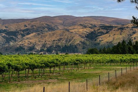 Photo of property in 411a Maori Point Road, Tarras, Cromwell, 9383