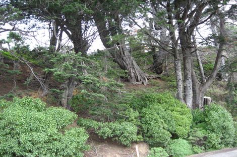 Photo of property in 510 Portobello Road, Macandrew Bay, Dunedin, 9014