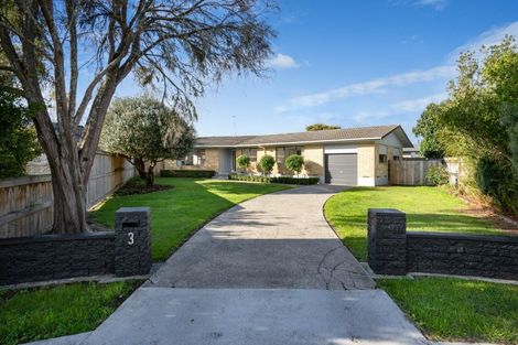 Photo of property in 3 Alfred Back Place, Cambridge, 3434