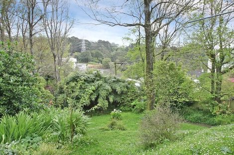 Photo of property in 98 Nairn Street, Mount Cook, Wellington, 6011