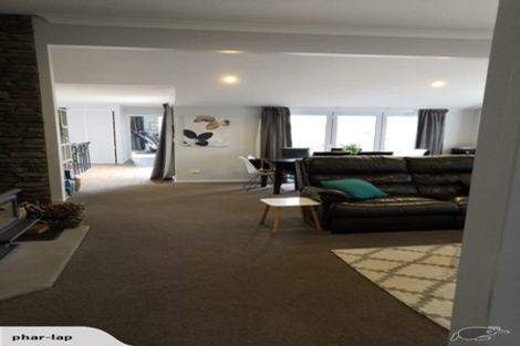 Photo of property in 81 Lower Camside Road, Kaiapoi, 7630