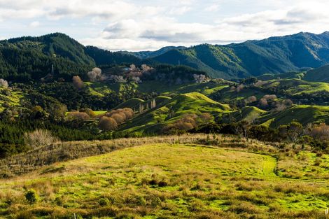 Photo of property in 276 Gaddums Hill Road, Outer Kaiti, Gisborne, 4010