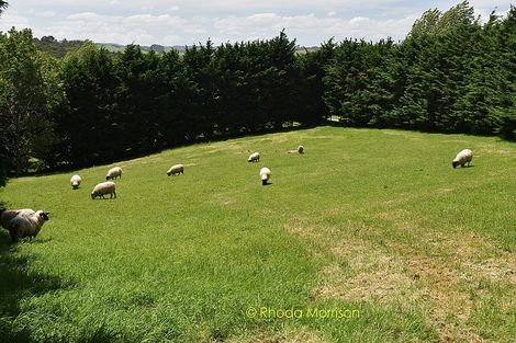 Photo of property in 245 Metcalfe Road, Matakohe, 0593