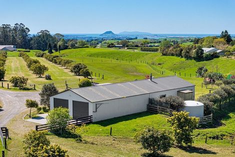 Photo of property in 390 Hereford Road, Oropi, Tauranga, 3173