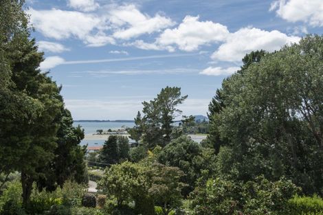 Photo of property in 221 Plummers Point Road, Whakamarama, Tauranga, 3172