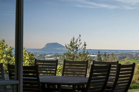 Photo of property in 257f Whakamarama Road, Whakamarama, Tauranga, 3179