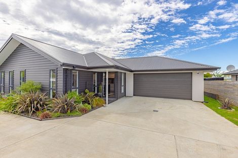 Photo of property in 42b Springvale Road, Springvale, Whanganui, 4501