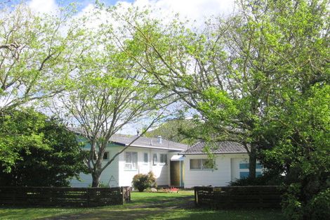 Photo of property in 21 Richmal Street, Waihi, 3610