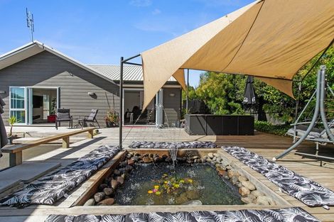 Photo of property in 8 Carew Street, Nawton, Hamilton, 3200