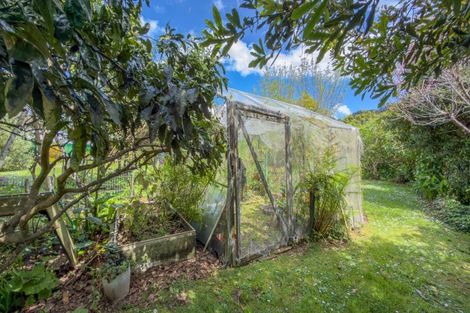 Photo of property in 48 Kon Tiki Road, Whiritoa, Whangamata, 3691