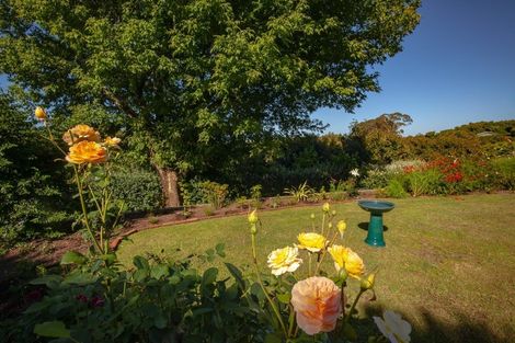 Photo of property in 313 Youngson Road, Whakamarama, Tauranga, 3179