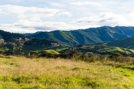 Photo of property in 276 Gaddums Hill Road, Outer Kaiti, Gisborne, 4010