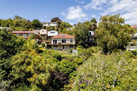 Photo of property in 141 Evans Street, Opoho, Dunedin, 9010