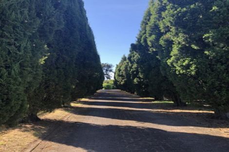 Photo of property in 2/66 Buscomb Avenue, Henderson, Auckland, 0610