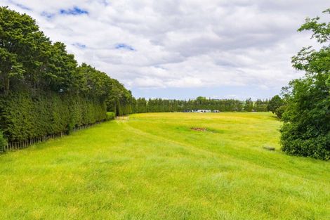 Photo of property in 360 Tauraroa Road, Maungakaramea, 0178