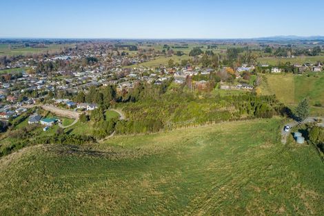 Photo of property in 85 Pekapeka Lane, Geraldine, 7930