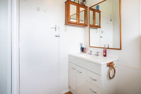 Photo of property in 251 Vogel Street, Roslyn, Palmerston North, 4414