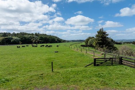 Photo of property in 467 Bald Hill Road, Waiuku, 2681
