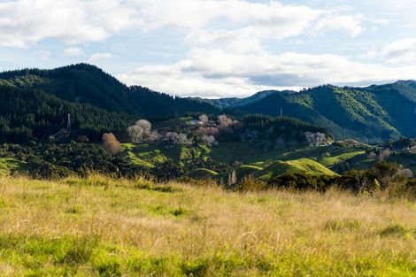 Photo of property in 276 Gaddums Hill Road, Outer Kaiti, Gisborne, 4010