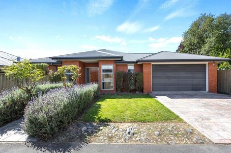 Photo of property in 47c Birchfield Avenue, Dallington, Christchurch, 8061