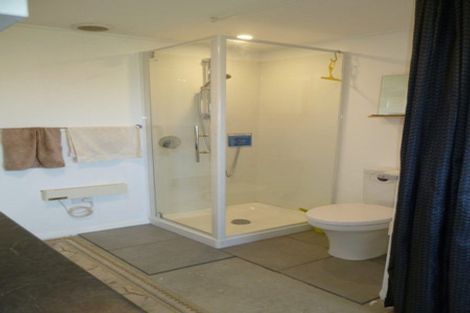 Photo of property in 46 Johnston Crescent, Haast, 7886