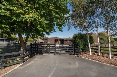 Photo of property in 81 Racecourse Road, Cambridge, 3493