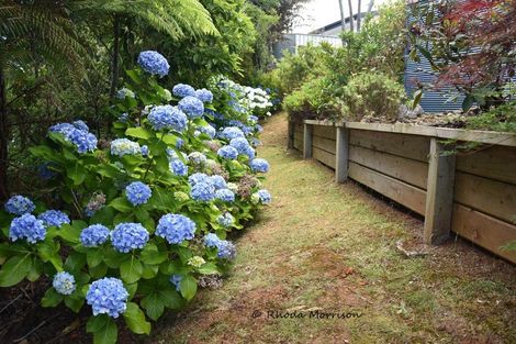 Photo of property in 16 Mariner Cove Road, Tinopai, Matakohe, 0593