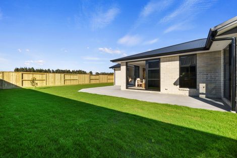 Photo of property in 35 Buxton Crescent, Matamata, 3400