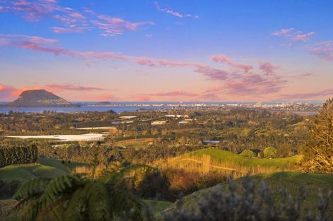 Photo of property in 252 Whakamarama Road, Whakamarama, Tauranga, 3179