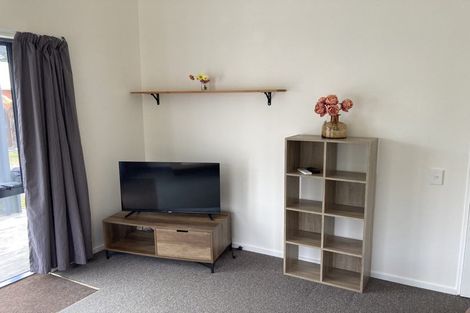 Photo of property in 3/6 Pauareka Road, Haast, 7886