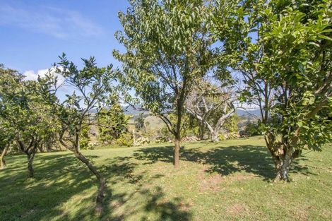 Photo of property in 316 Work Road, Aongatete, Katikati, 3181