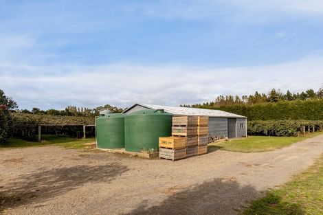 Photo of property in 39 Prole Road, Omokoroa, Tauranga, 3172