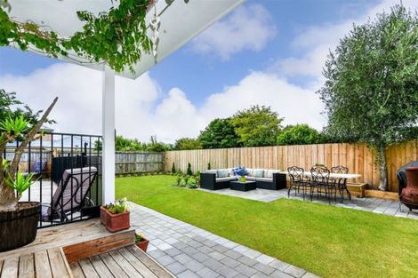 Photo of property in 55 Jeffreys Road, Fendalton, Christchurch, 8052