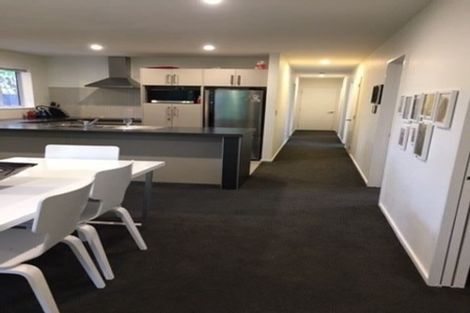 Photo of property in 211a Springfield Road, St Albans, Christchurch, 8014