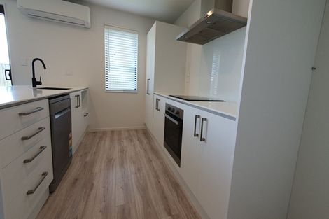 Photo of property in 19 Wakeman Drive, Lincoln, 7608