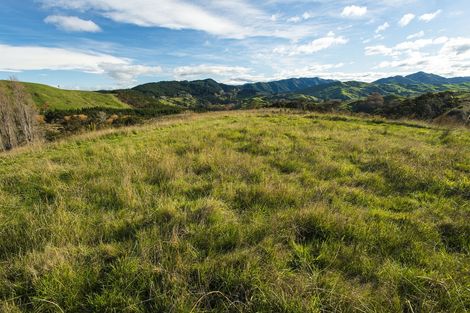 Photo of property in 276 Gaddums Hill Road, Outer Kaiti, Gisborne, 4010