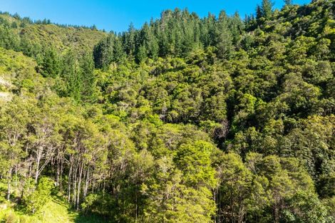 Photo of property in 793 Waikakaho Road, Tuamarina, Blenheim, 7273