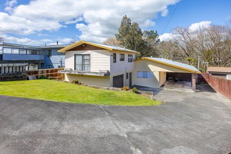 Photo of property in 87 Porangahau Road, Waipukurau, 4200