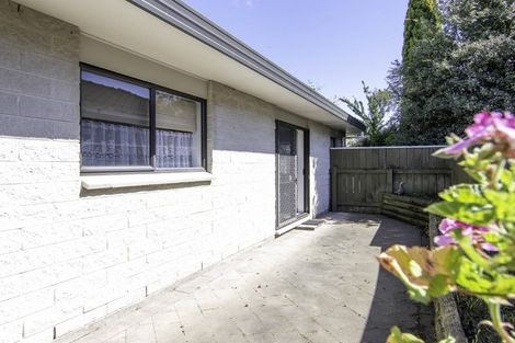 Photo of property in 85 Guy Avenue, Takaro, Palmerston North, 4410