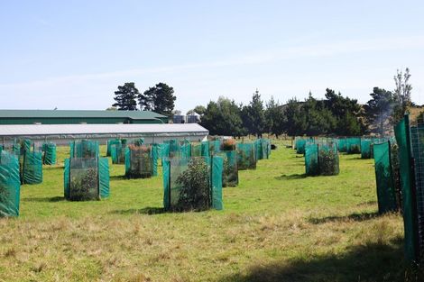 Photo of property in 40 Francis Road, Westmere, Whanganui, 4574