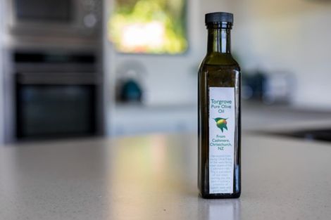 Photo of property in 15 Gunns Crescent, Cashmere, Christchurch, 8022