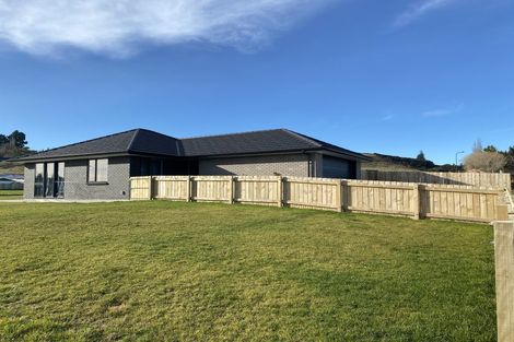 Photo of property in 13 Kahikatea Drive, East Gore, 9710