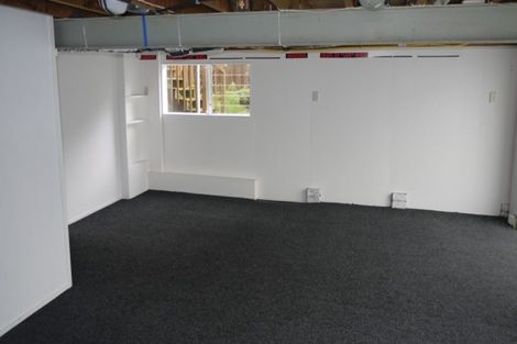 Photo of property in 45 Stanaway Street, Hillcrest, Auckland, 0627