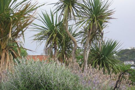 Photo of property in 9 Marine Parade, Seatoun, Wellington, 6022