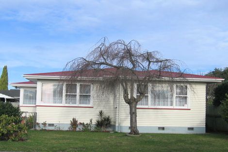 Photo of property in 917 Rimu Street, Mahora, Hastings, 4120