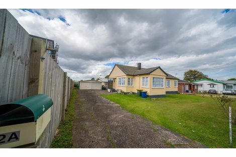 Photo of property in 2 Fruitvale Road, New Lynn, Auckland, 0600